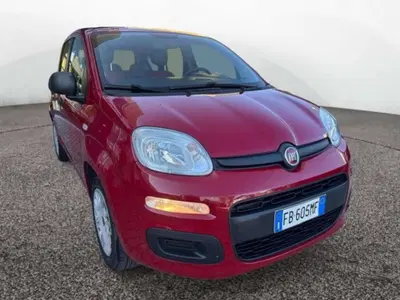 Fiat Panda 1.2 Easy del 2016 usata a Empoli