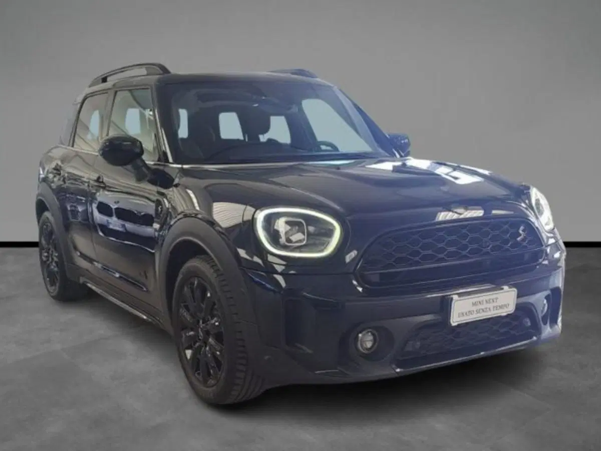 MINI Mini Countryman usata a Verona (16)