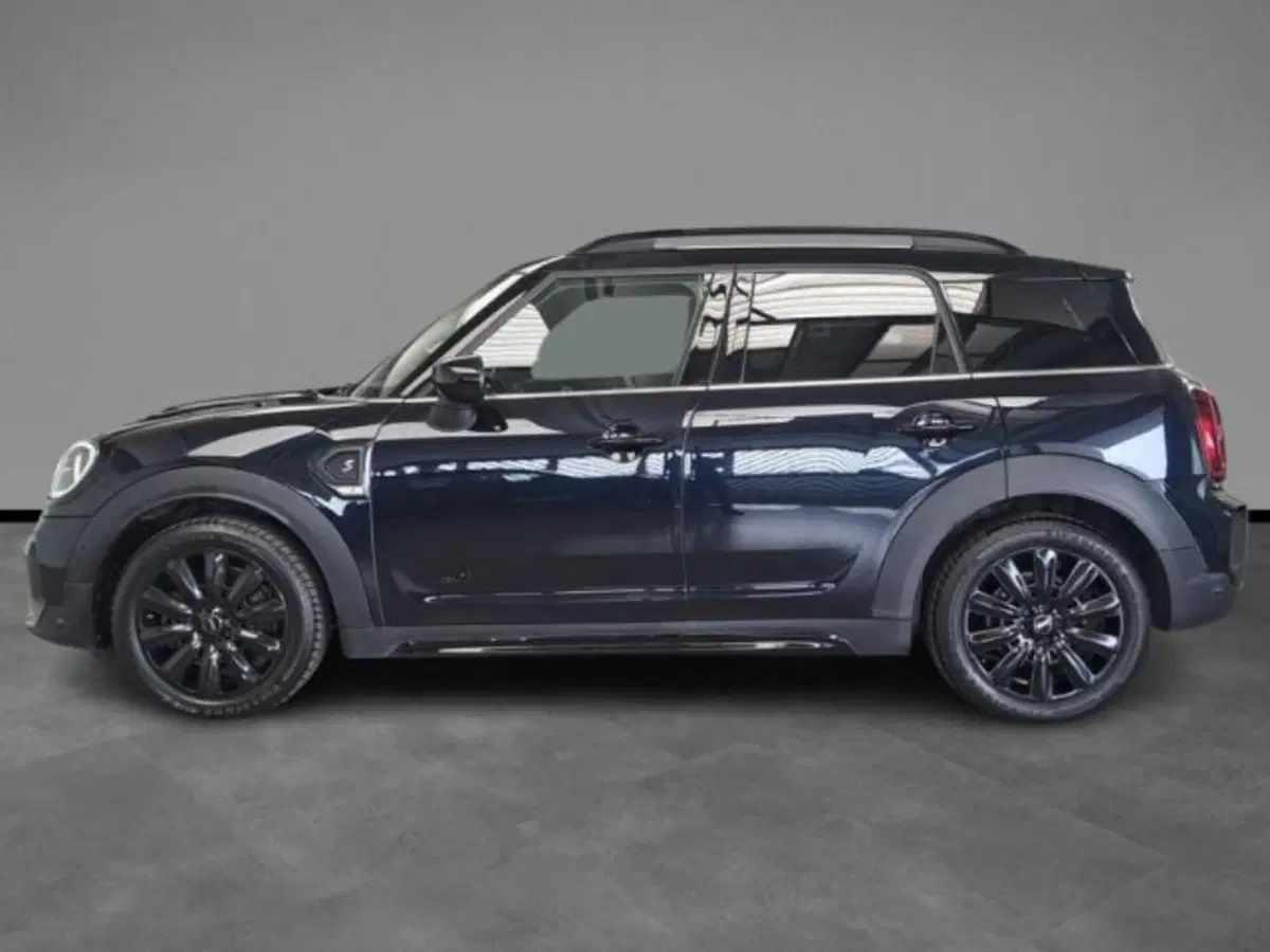MINI Mini Countryman usata a Verona (3)