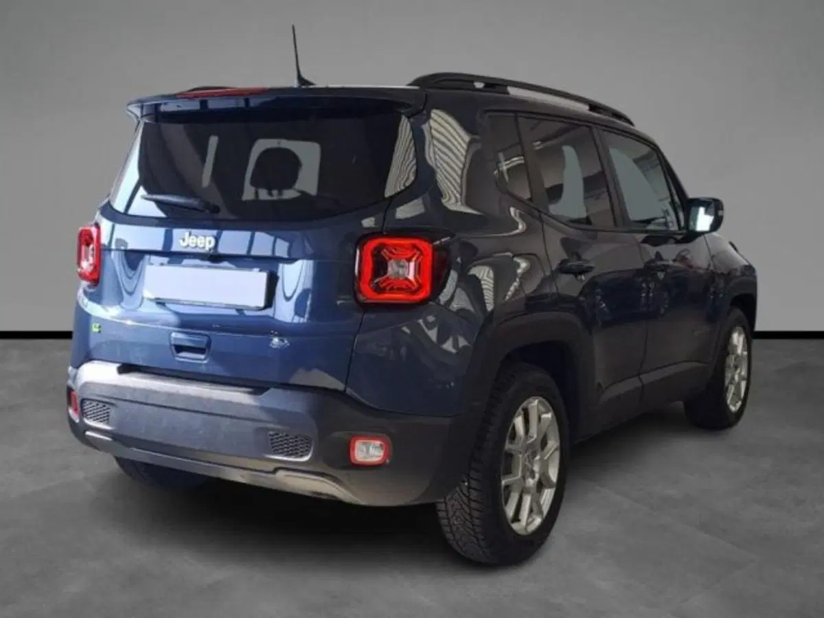 Jeep Renegade usata a Verona (15)