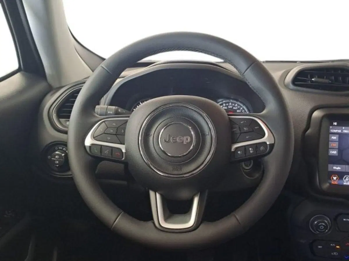Jeep Renegade usata a Verona (9)