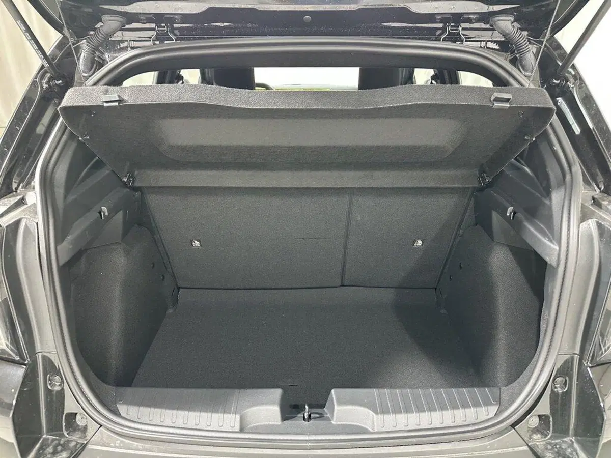 Fiat Grande Panda nuova a Sondrio (15)