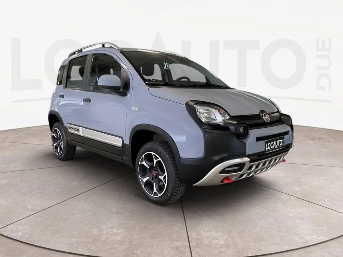 Fiat Panda usata a Torino (3)