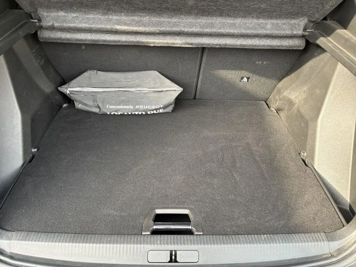 Peugeot 2008 usata a Torino (9)