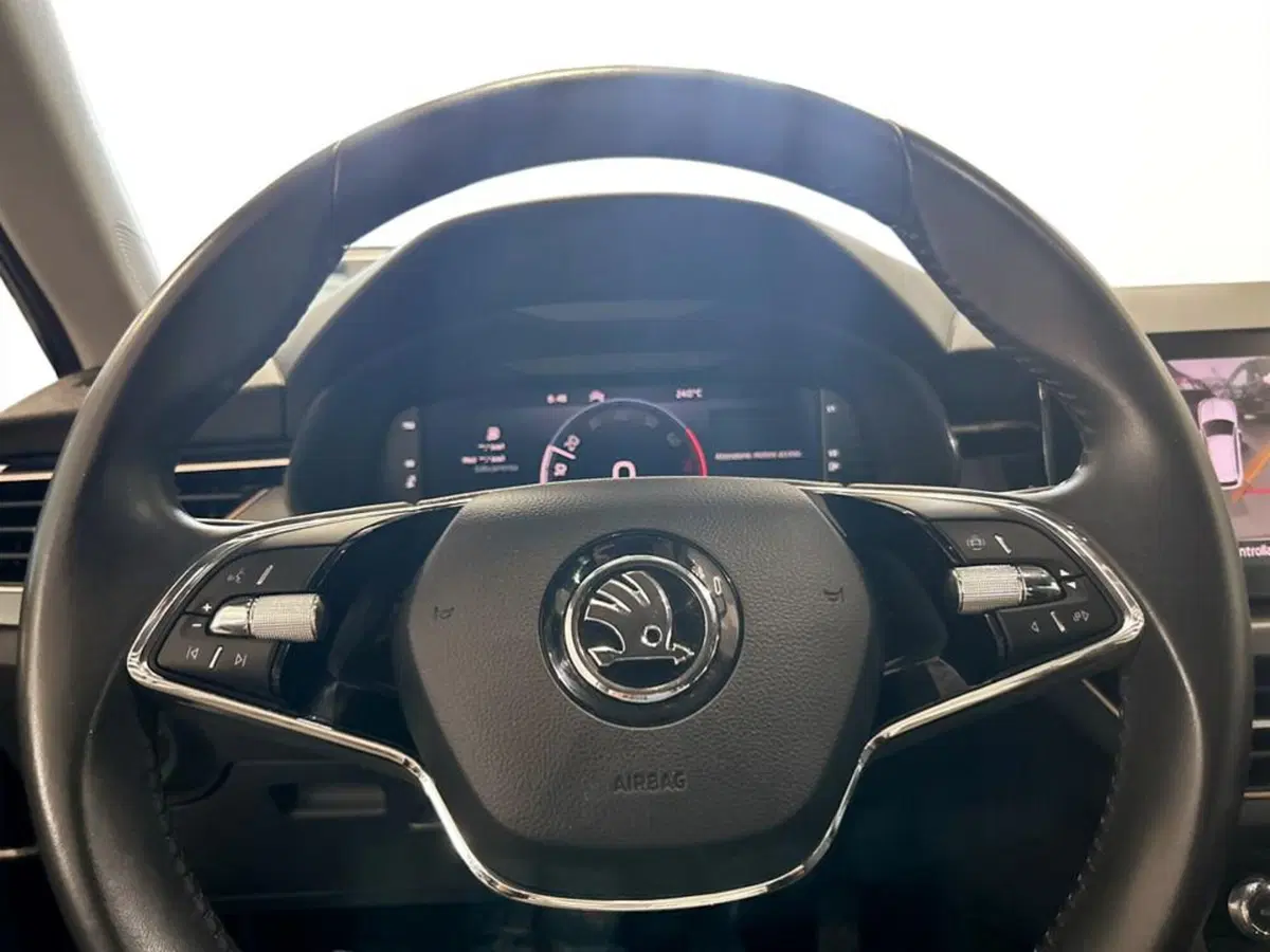 Skoda Kamiq usata a Piacenza (12)