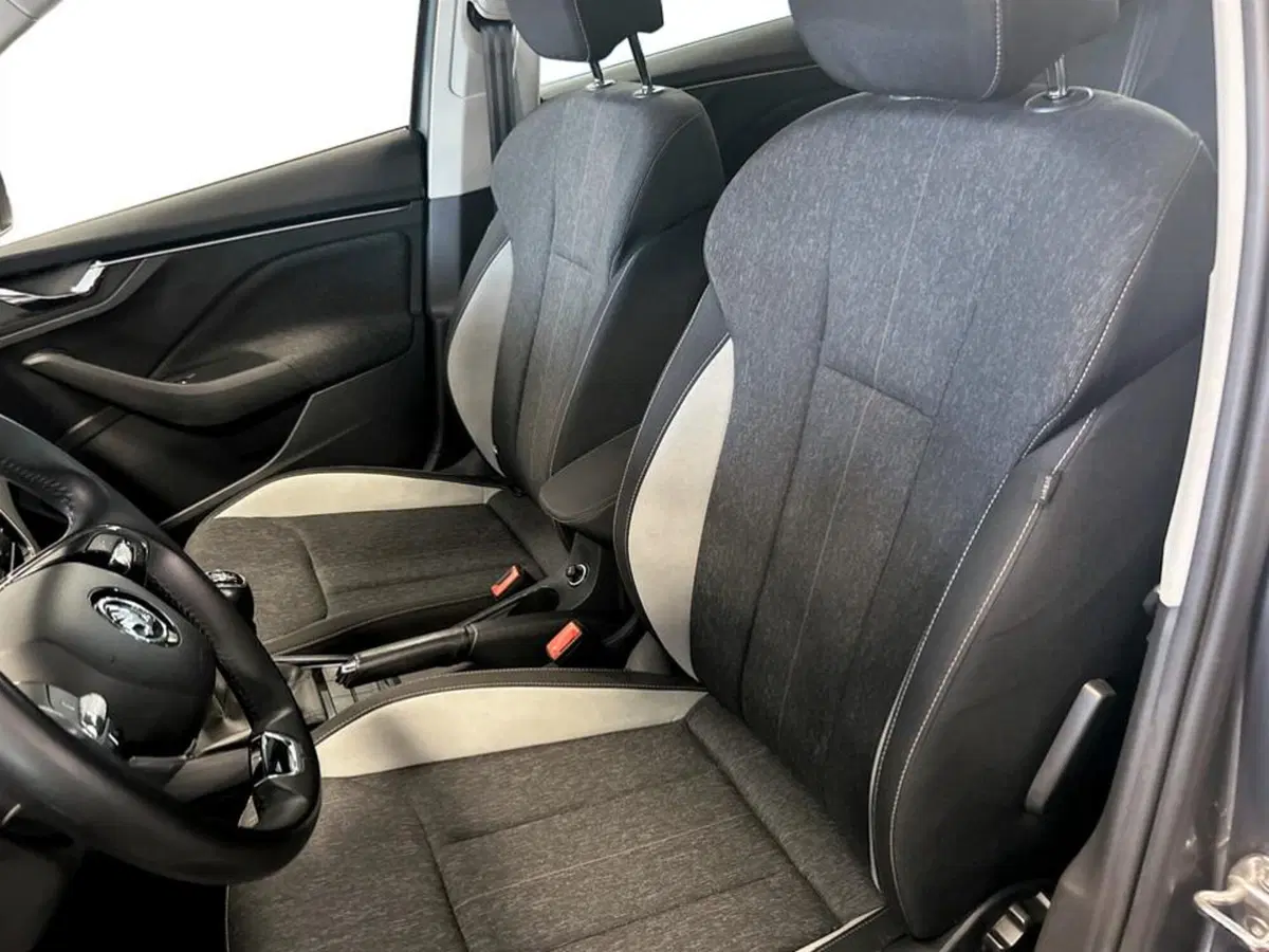 Skoda Kamiq usata a Piacenza (9)