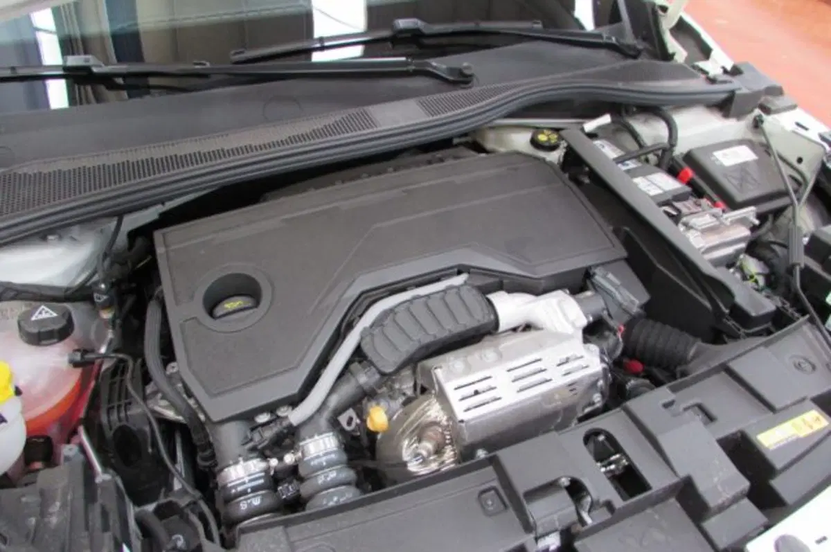 Fiat 600 nuova a Milano (18)