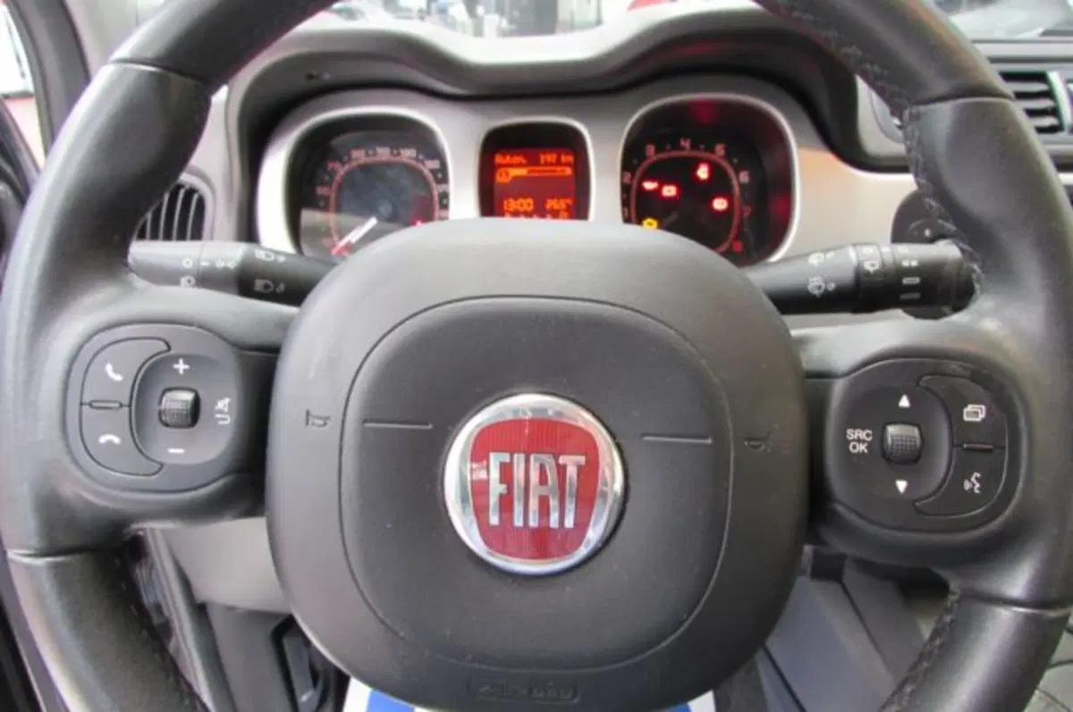 Fiat Panda Cross usata a Milano (13)