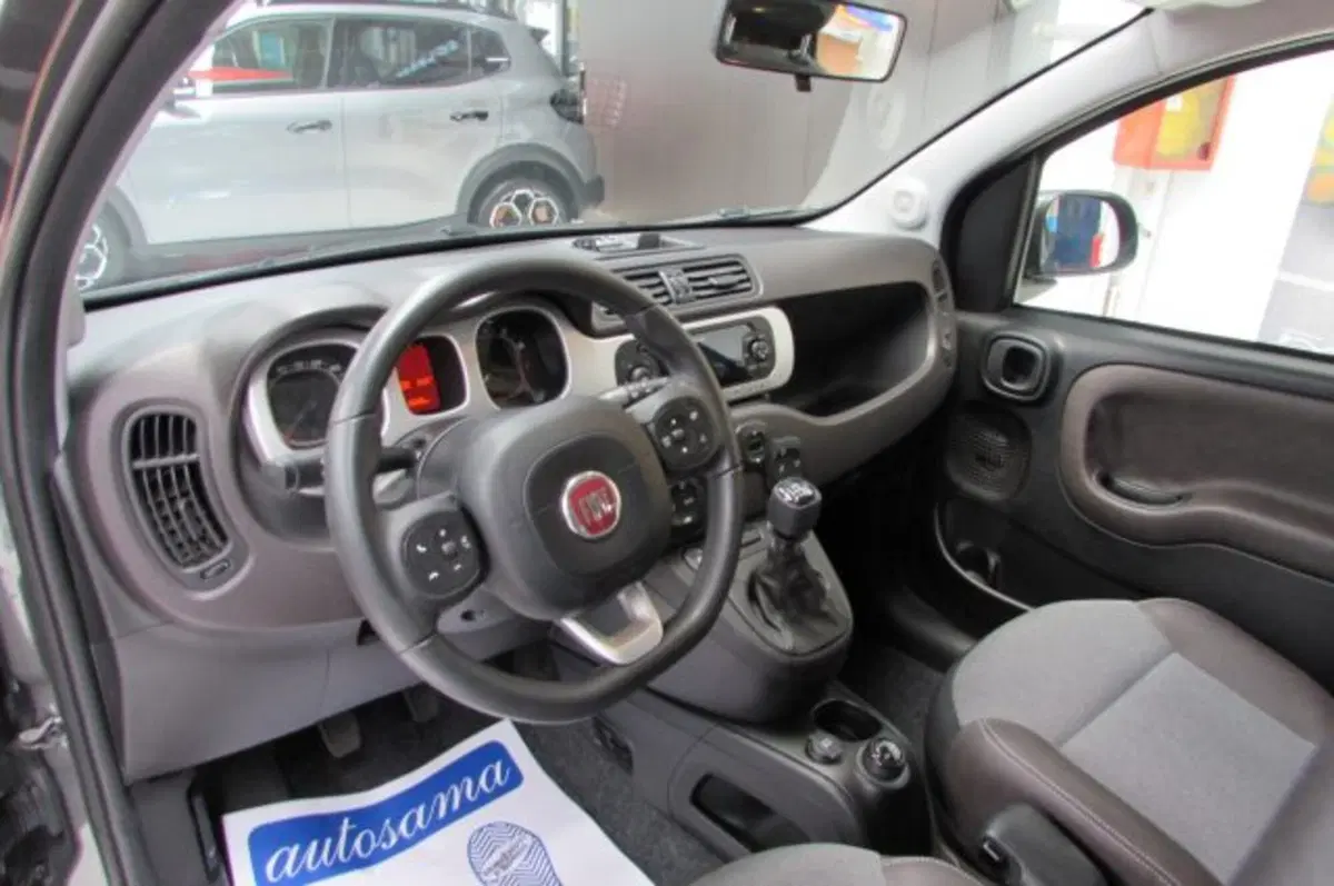 Fiat Panda Cross usata a Milano (8)