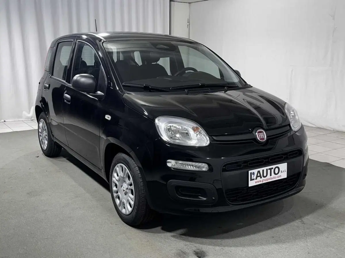 Fiat Pandina nuova a Sondrio (7)