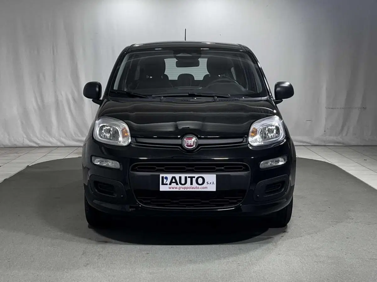 Fiat Pandina nuova a Sondrio (8)