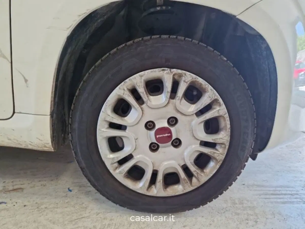 Fiat Panda usata a Salerno (17)