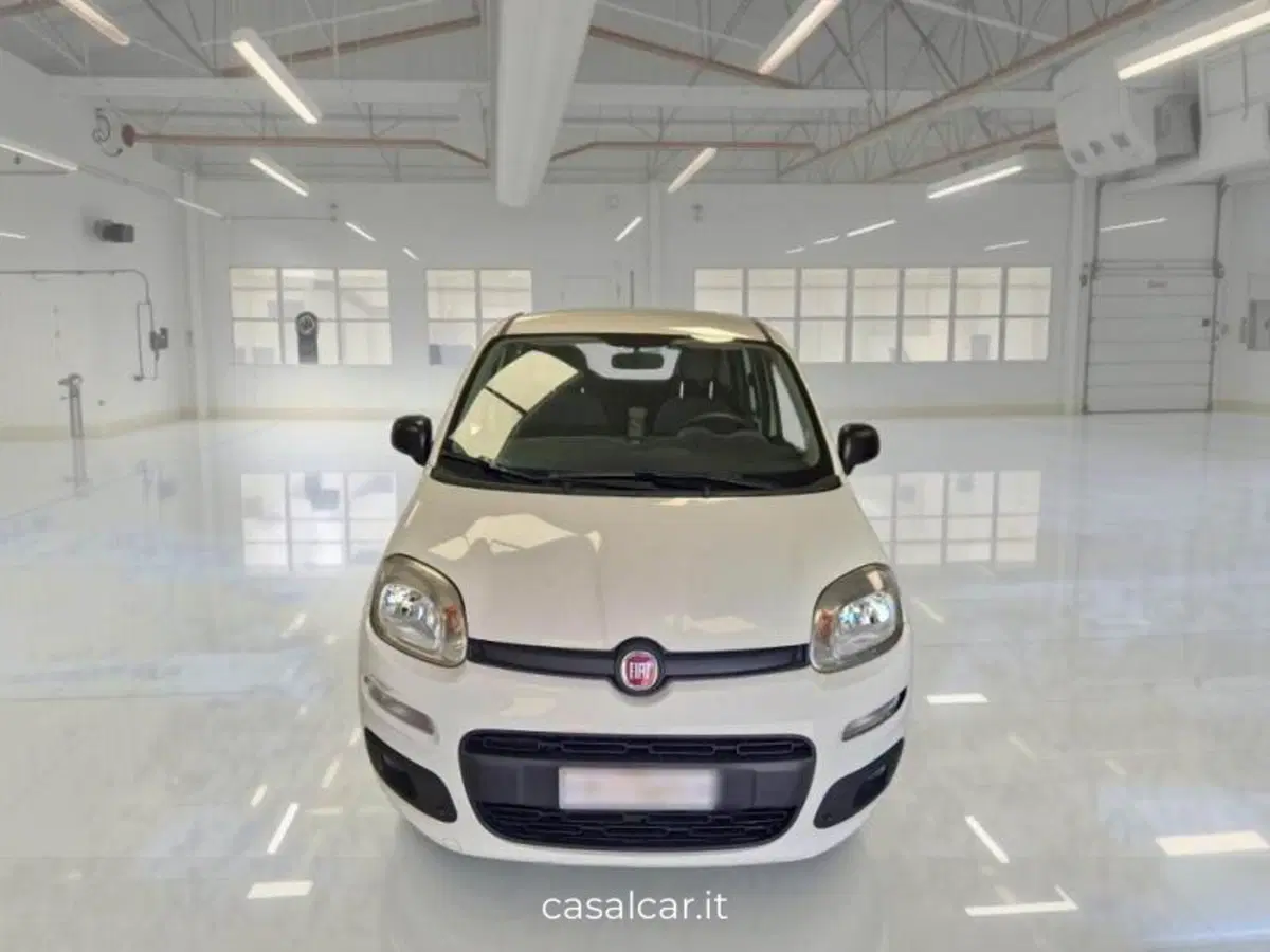 Fiat Panda usata a Salerno (2)