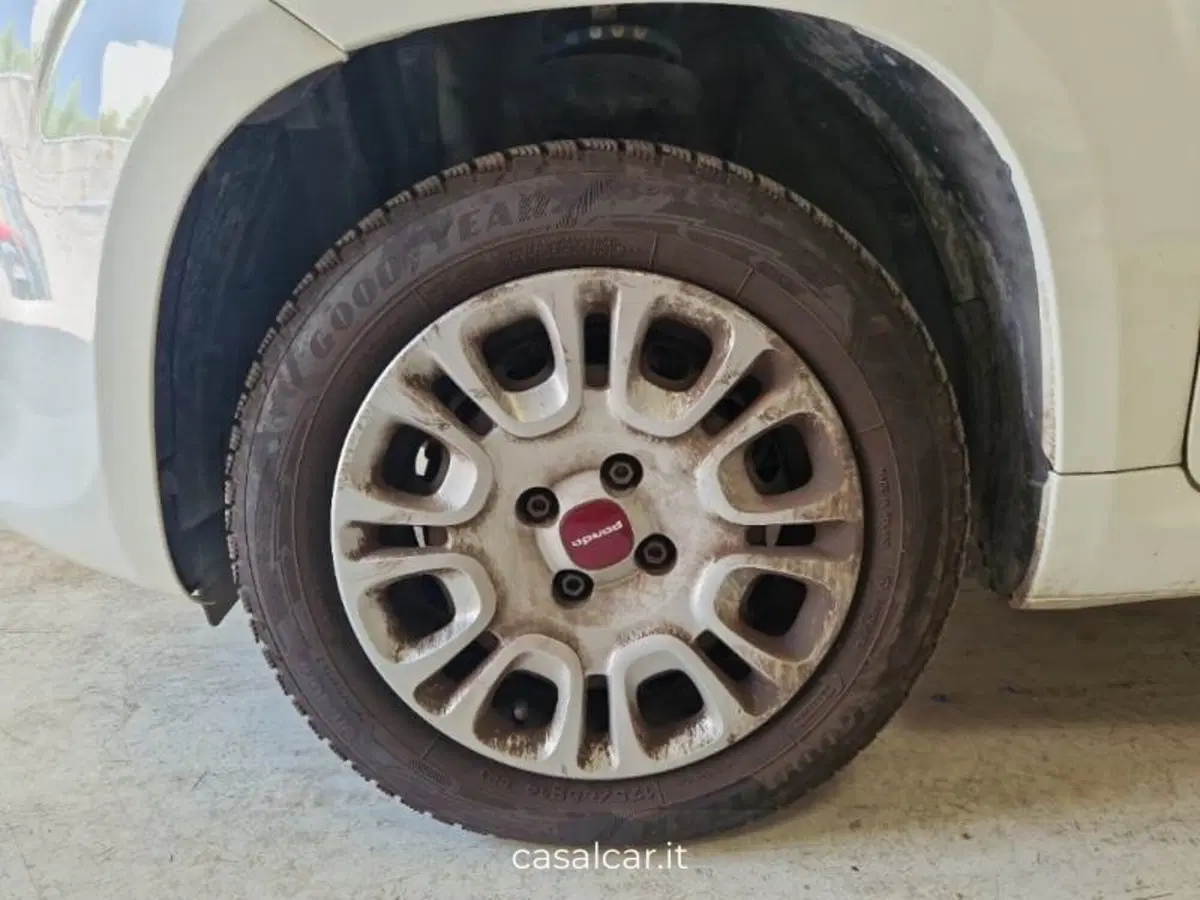 Fiat Panda usata a Salerno (20)