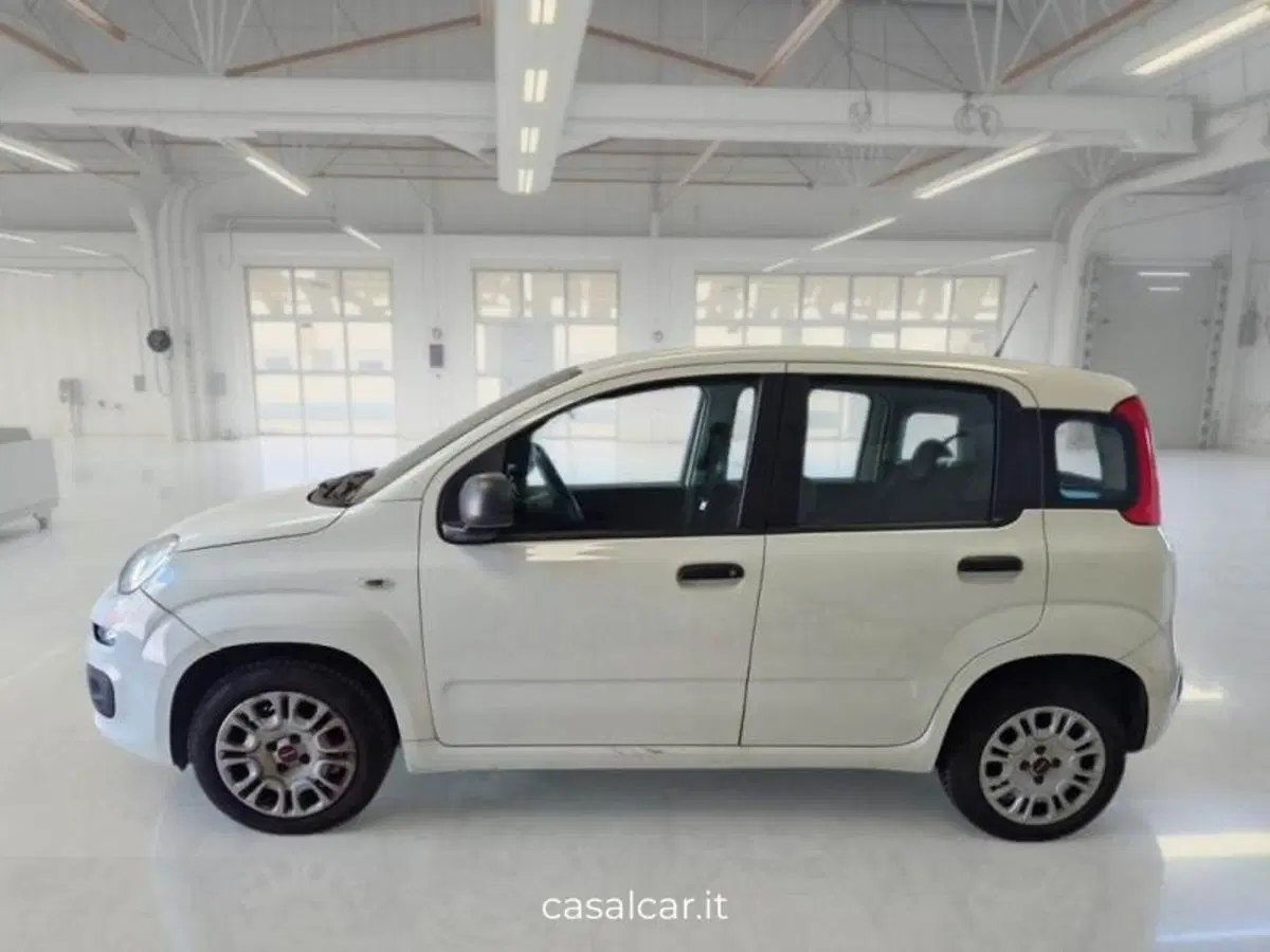 Fiat Panda usata a Salerno (3)