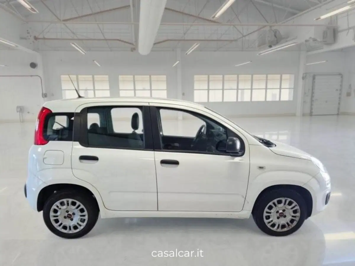 Fiat Panda usata a Salerno (4)