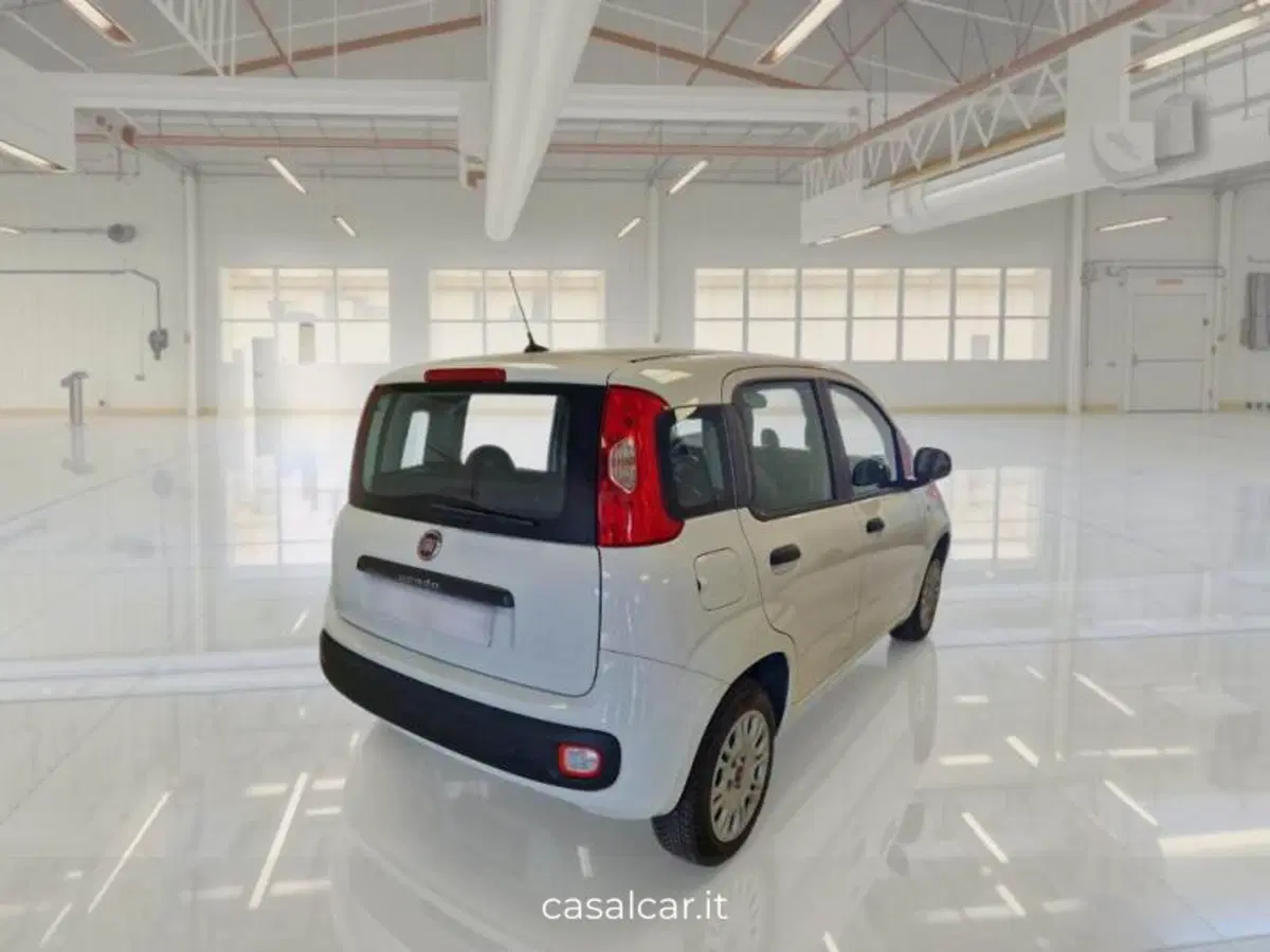 Fiat Panda usata a Salerno (5)