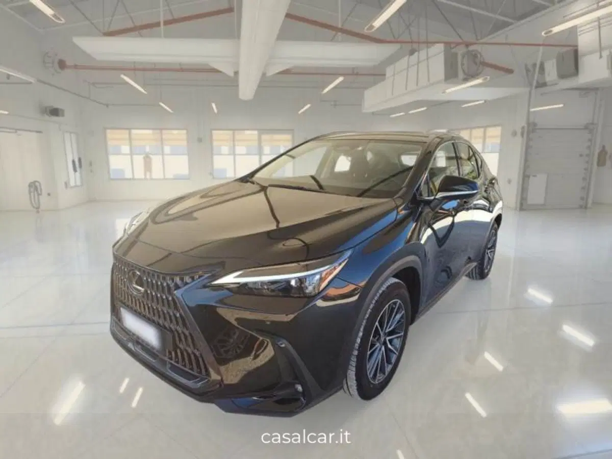 Lexus NX usata a Salerno