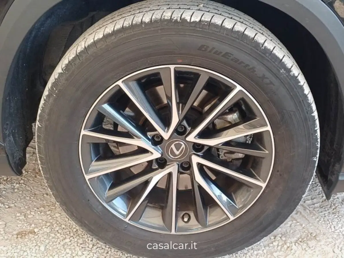 Lexus NX usata a Salerno (17)