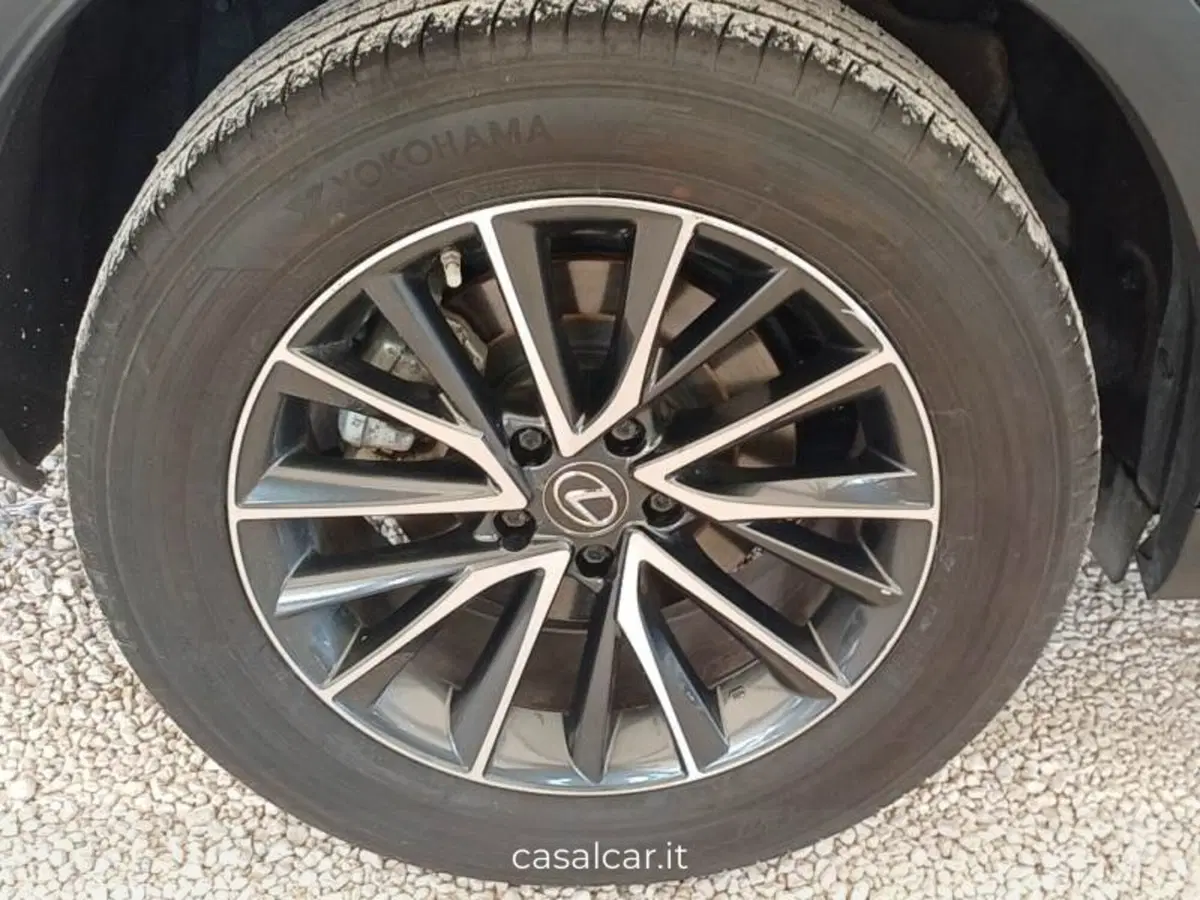 Lexus NX usata a Salerno (18)