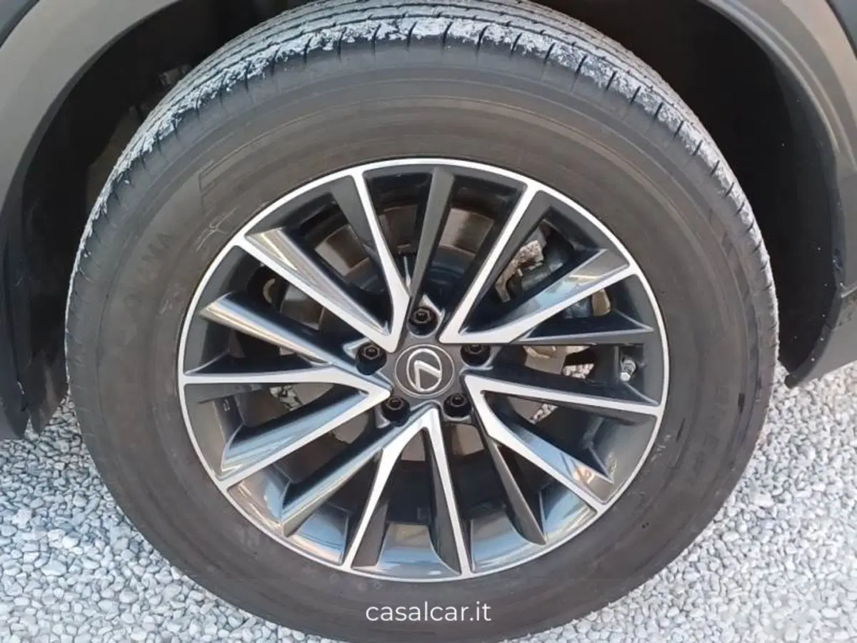 Lexus NX usata a Salerno (19)