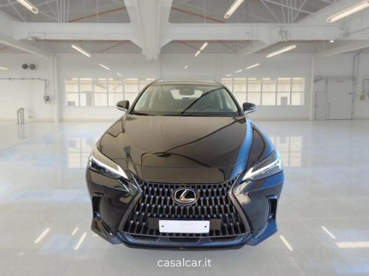 Lexus NX usata a Salerno (2)