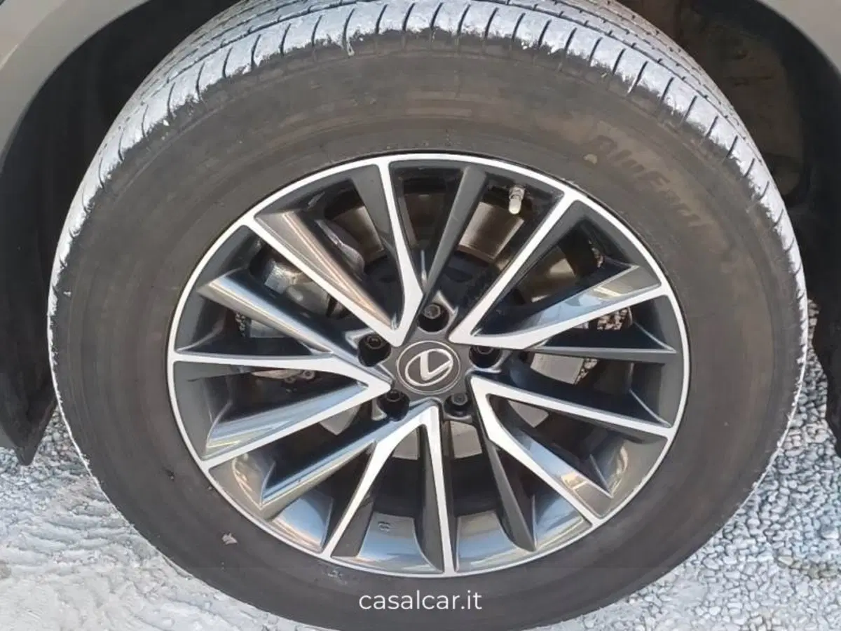 Lexus NX usata a Salerno (20)