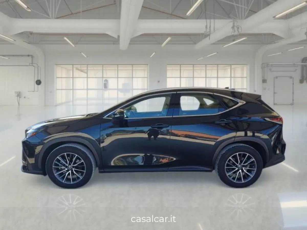 Lexus NX usata a Salerno (3)