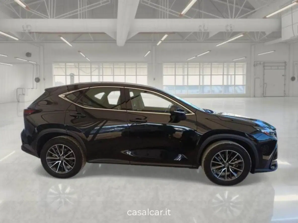 Lexus NX usata a Salerno (4)