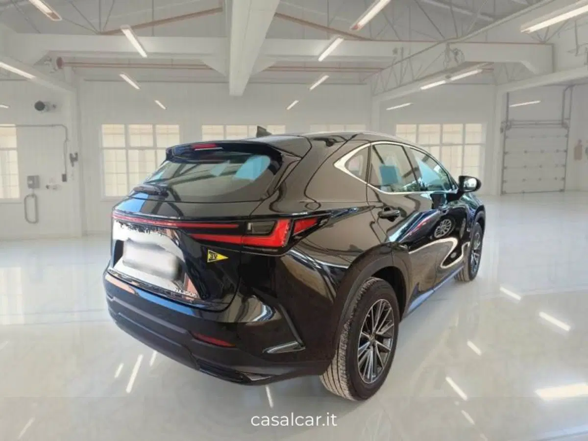 Lexus NX usata a Salerno (5)
