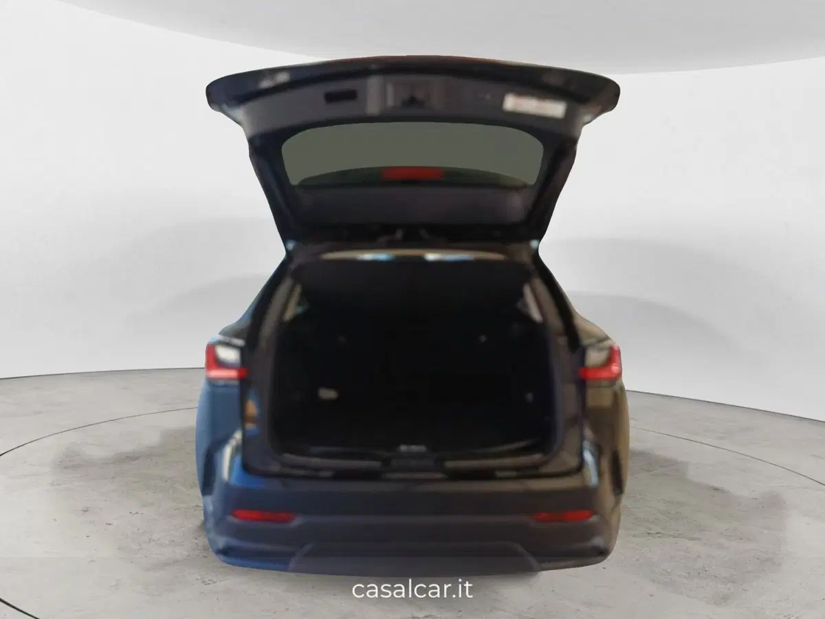 Lexus NX usata a Salerno (6)