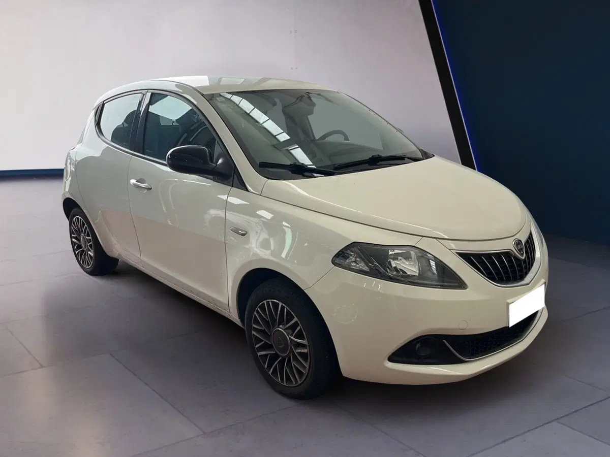 Lancia Ypsilon usata a Torino (2)