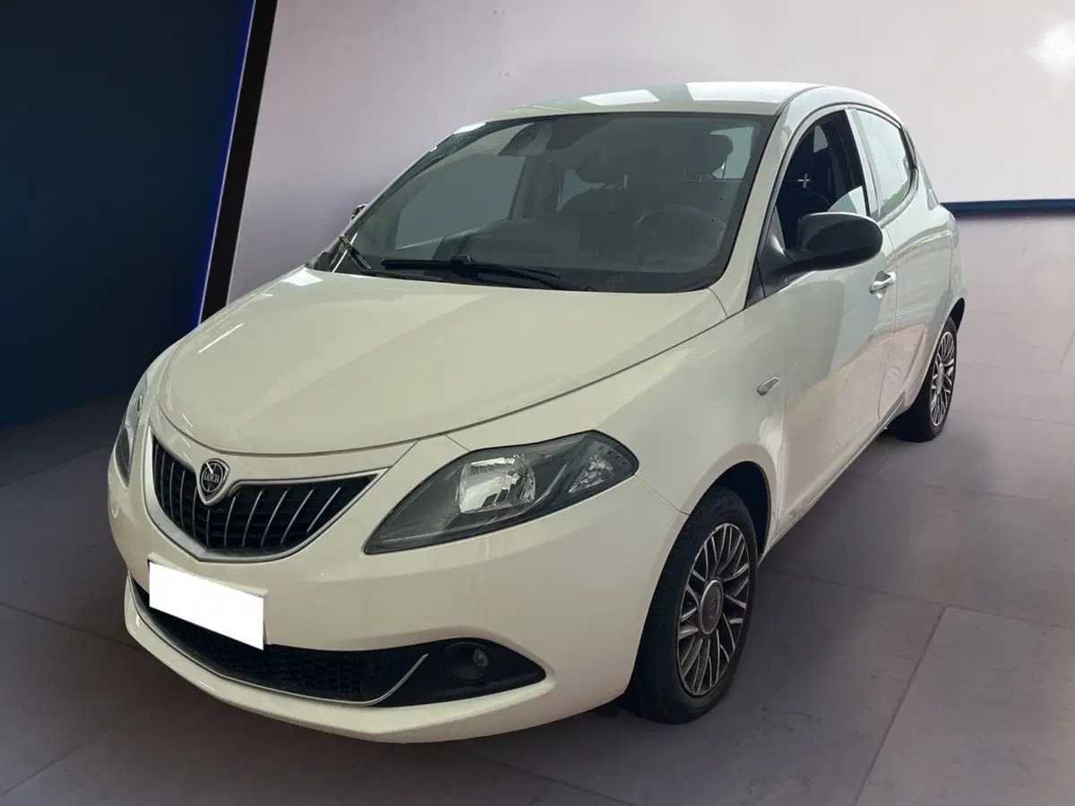 Lancia Ypsilon usata a Torino (3)