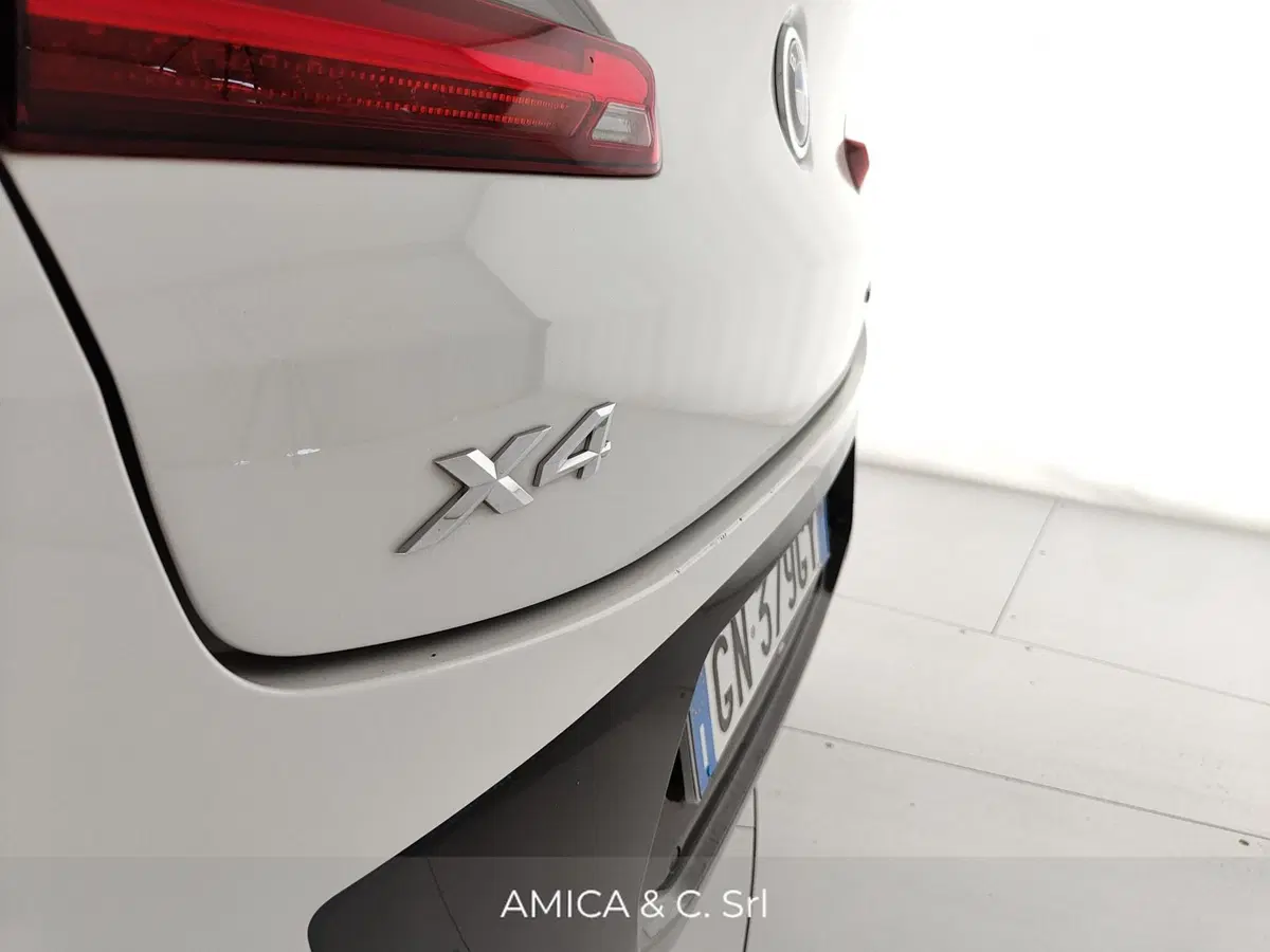 BMW X4 usata a Caserta (10)