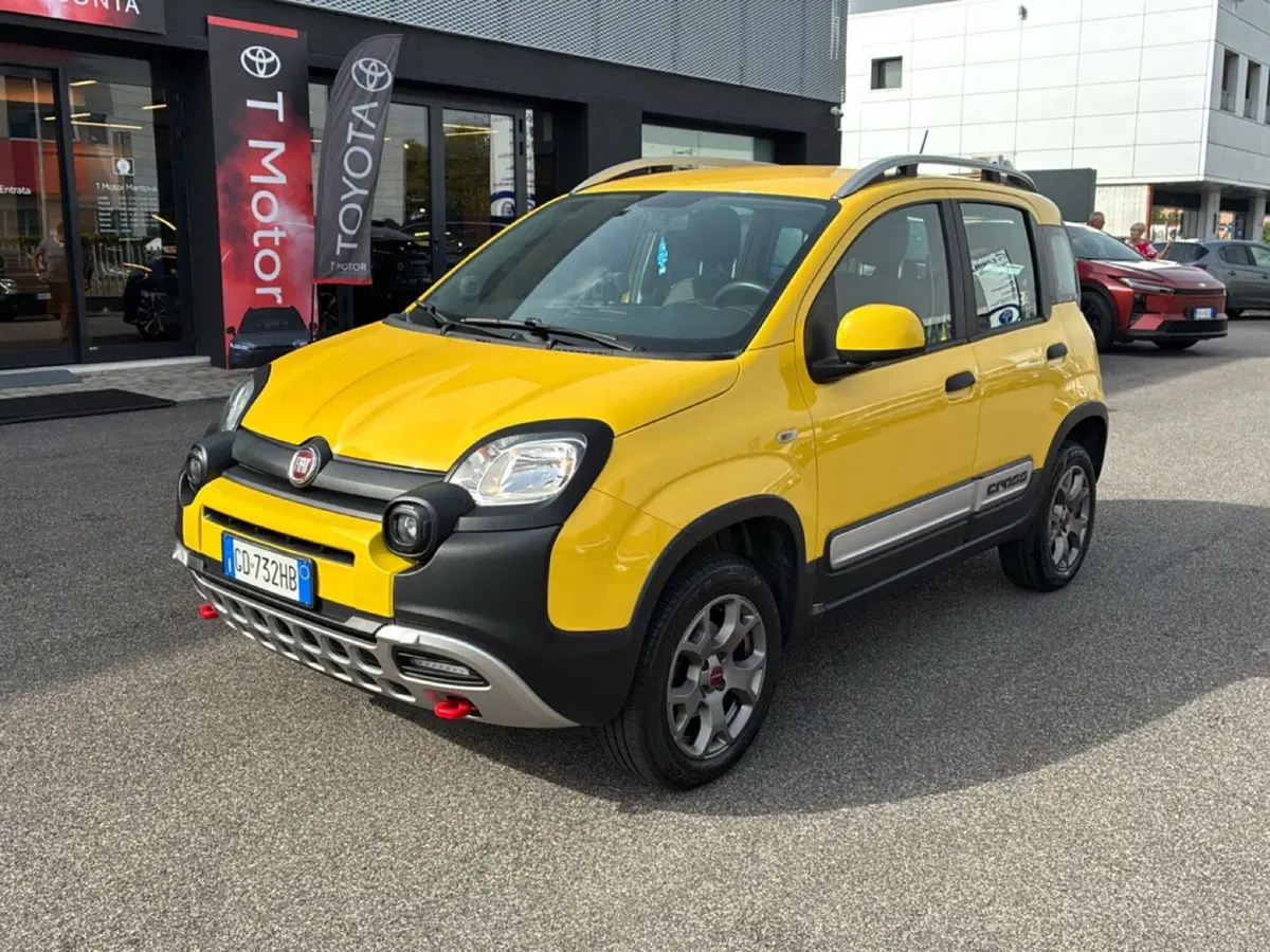 Fiat Panda usata a Mantova