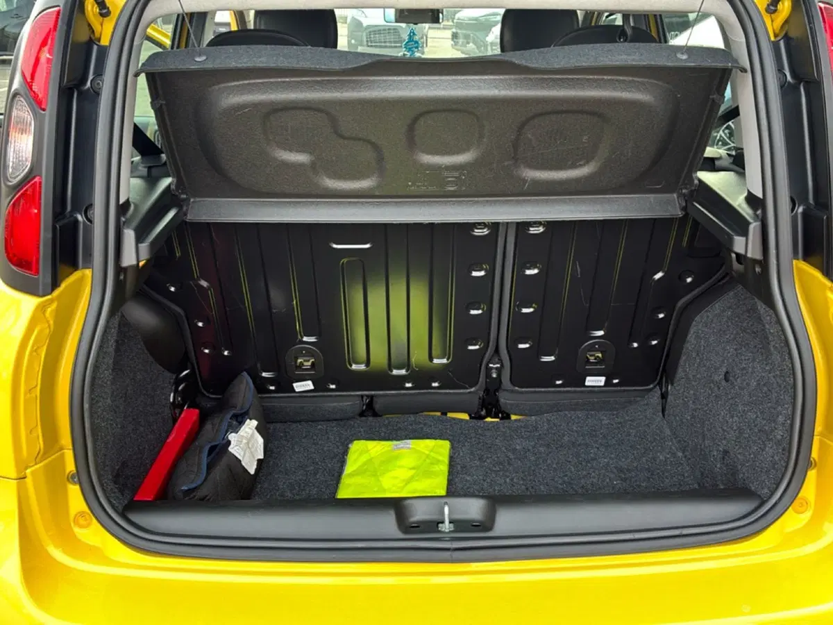 Fiat Panda usata a Mantova (14)