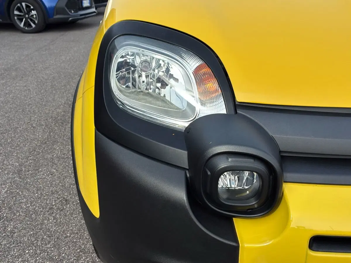 Fiat Panda usata a Mantova (9)