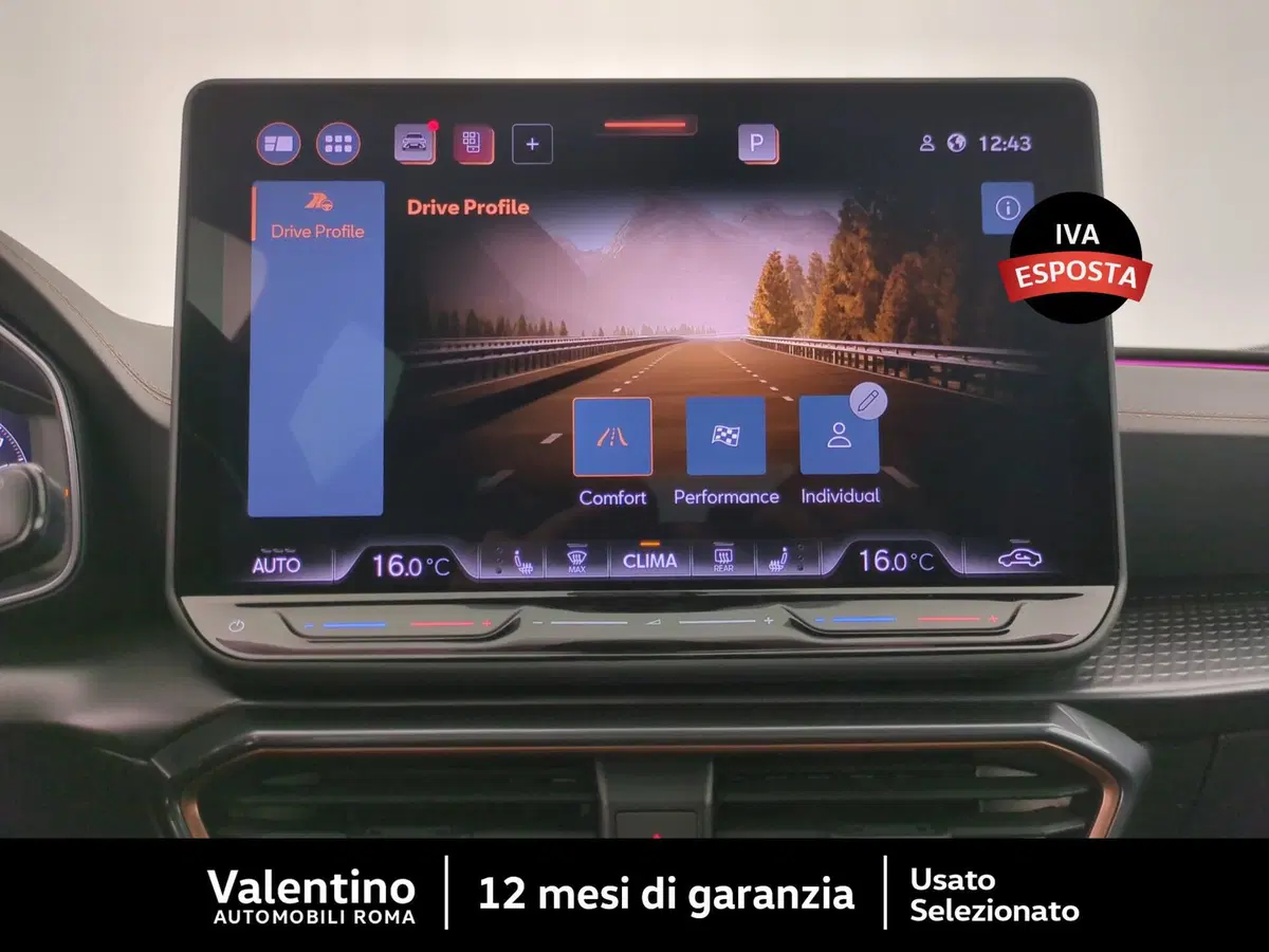 Cupra Formentor usata a Roma (20)