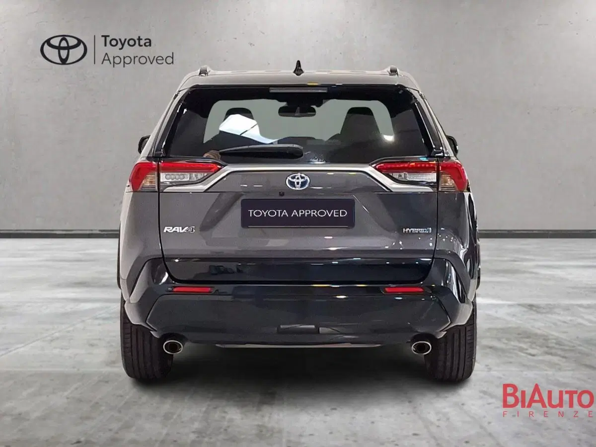 Toyota Rav4 usata a Firenze (12)