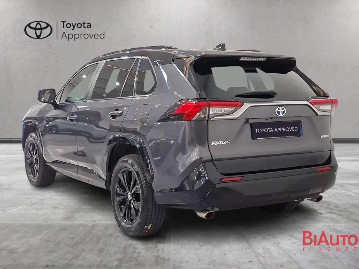 Toyota Rav4 usata a Firenze (5)