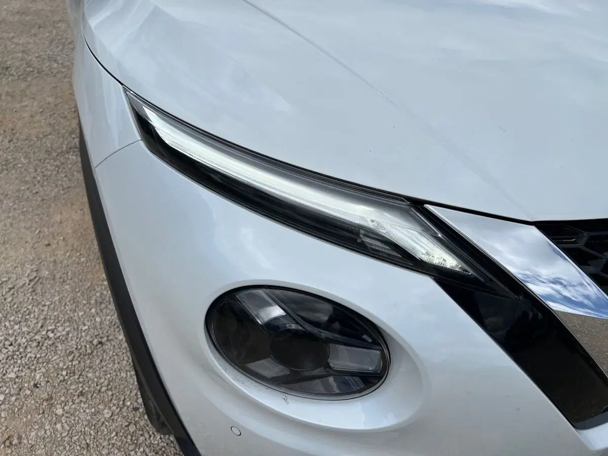 Nissan Juke usata a Siena (18)