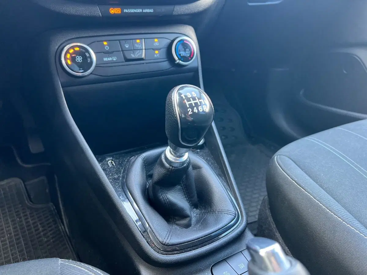 Ford Fiesta usata a Siena (14)