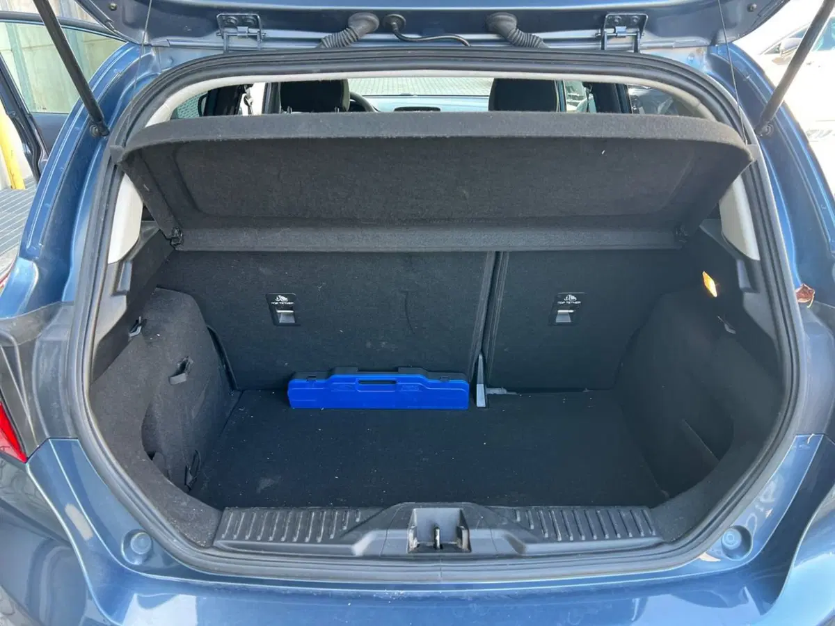 Ford Fiesta usata a Siena (15)