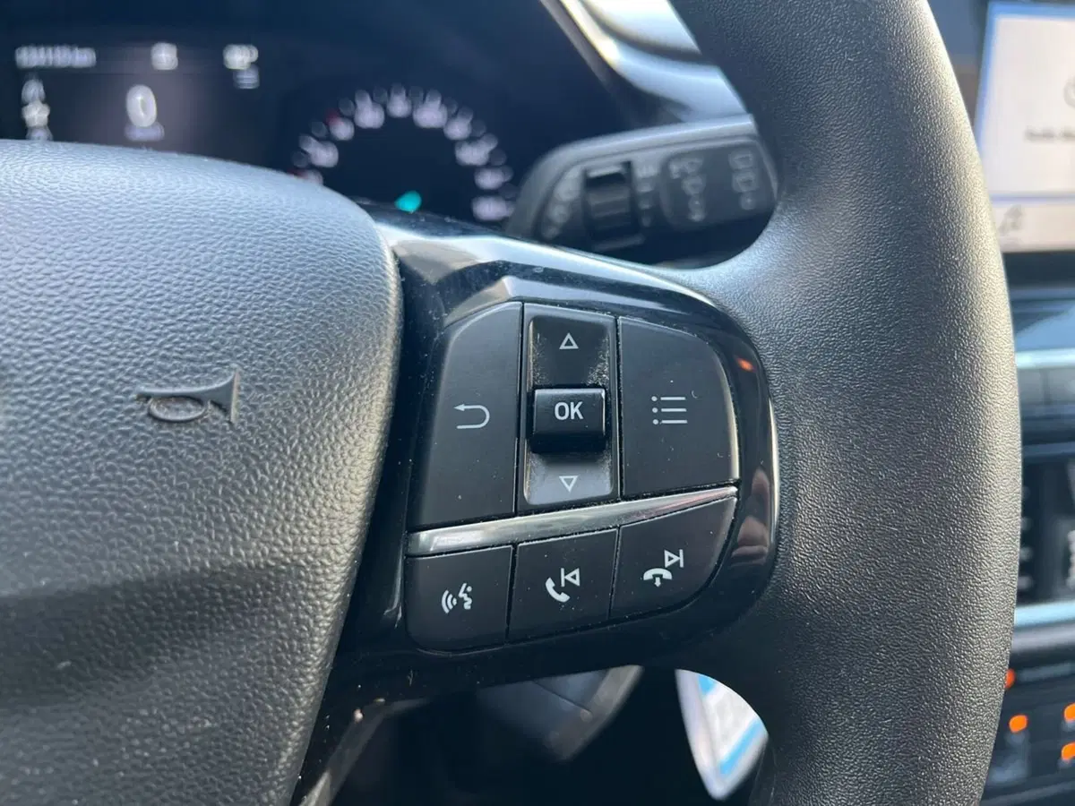 Ford Fiesta usata a Siena (19)