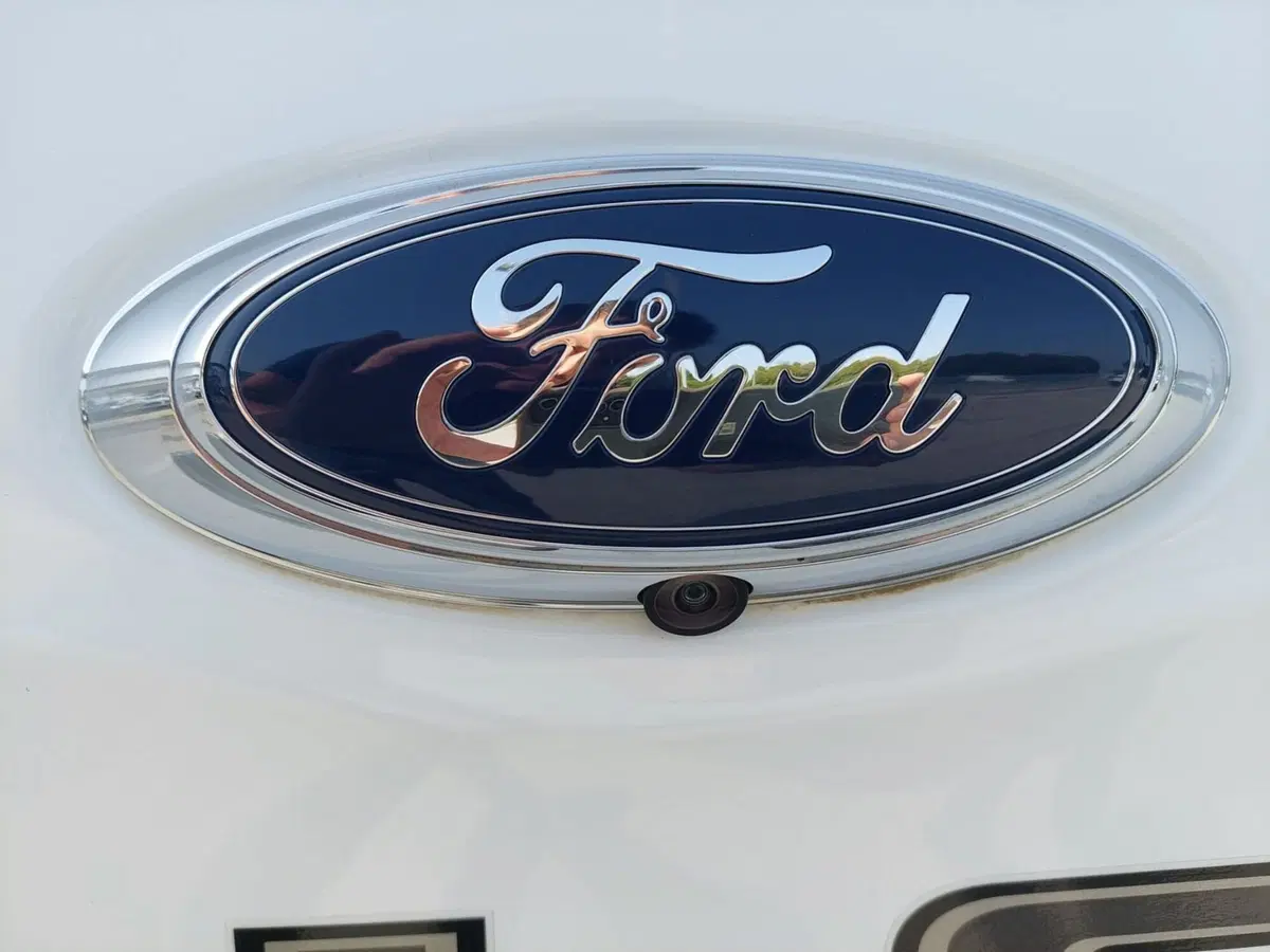 Ford Ranger Pick-up usata a Treviso (18)