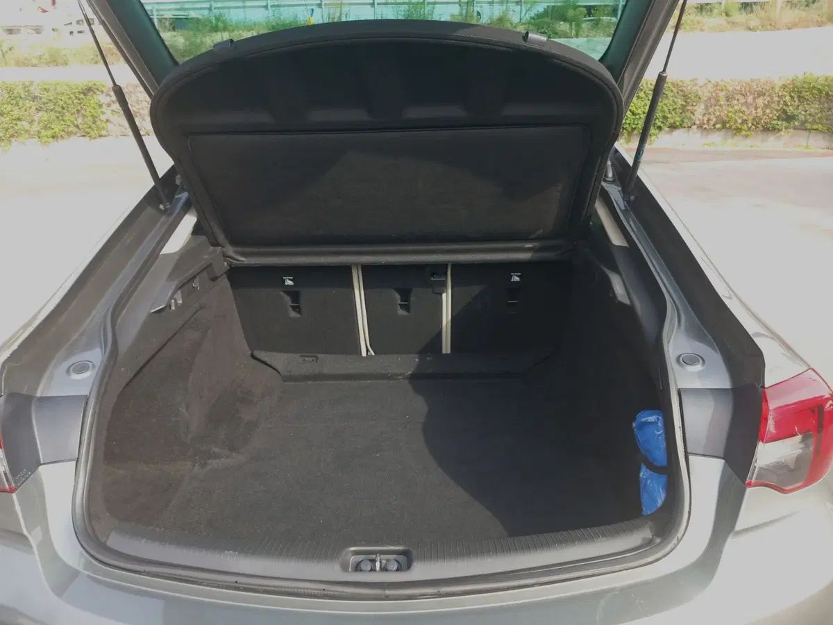 Opel Insignia usata a Lucca (11)
