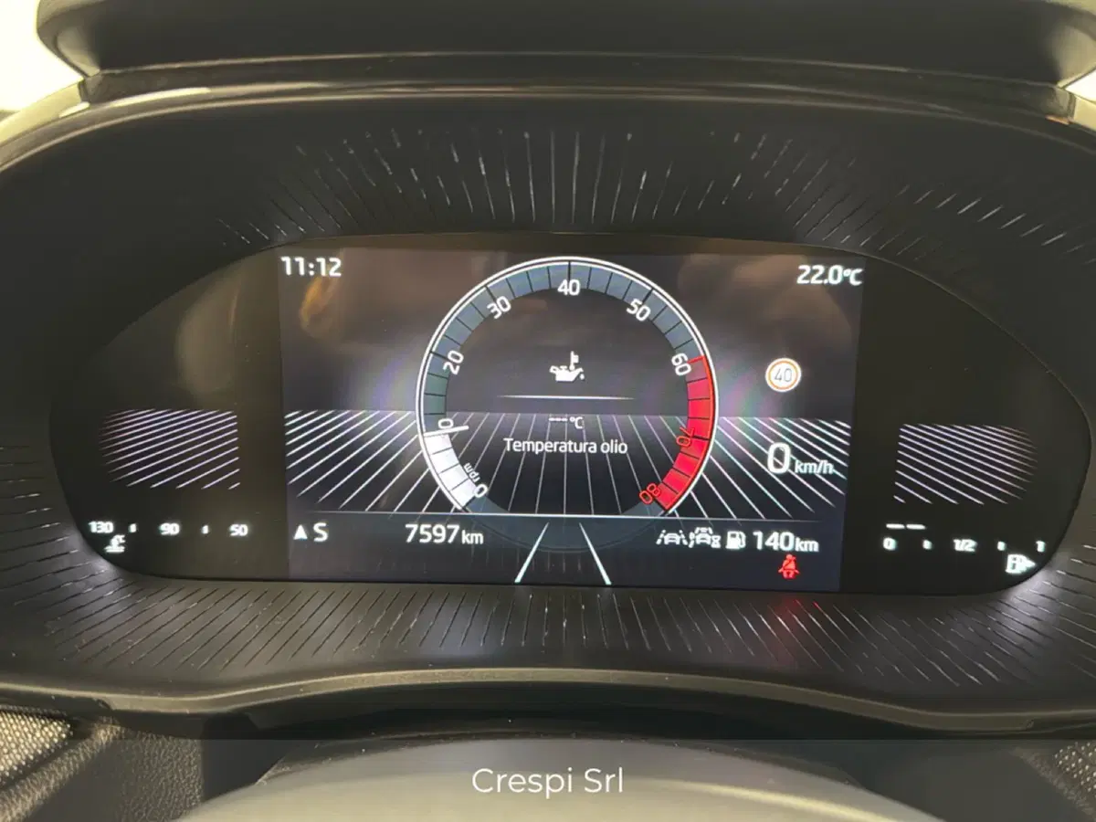 Skoda Fabia usata a Varese (10)