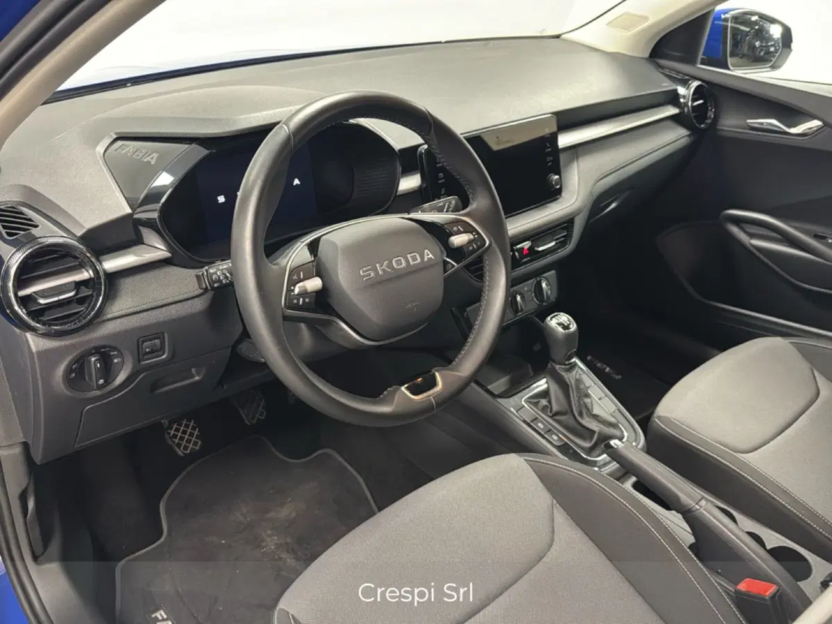 Skoda Fabia usata a Varese (11)