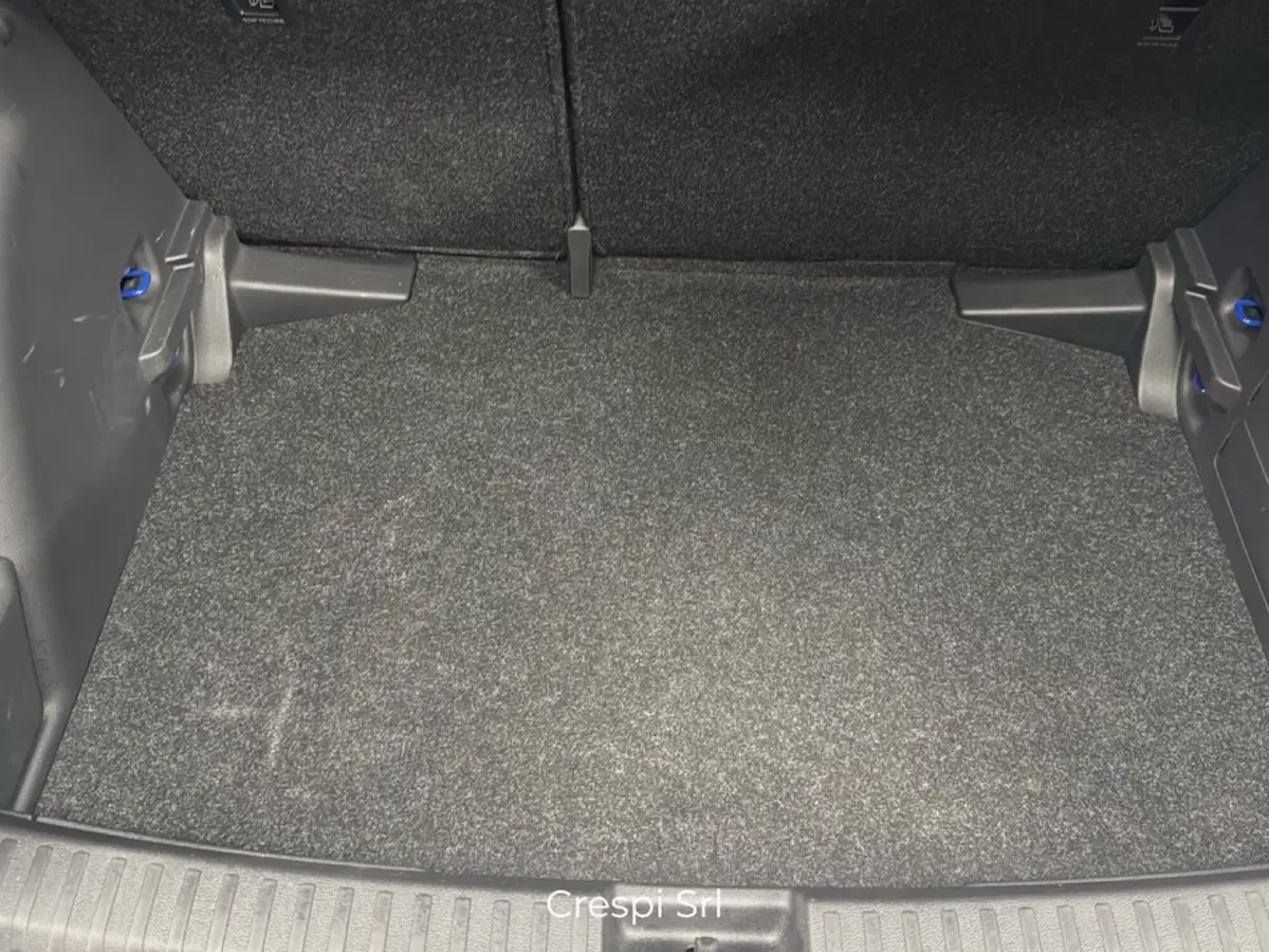 Skoda Fabia usata a Varese (19)