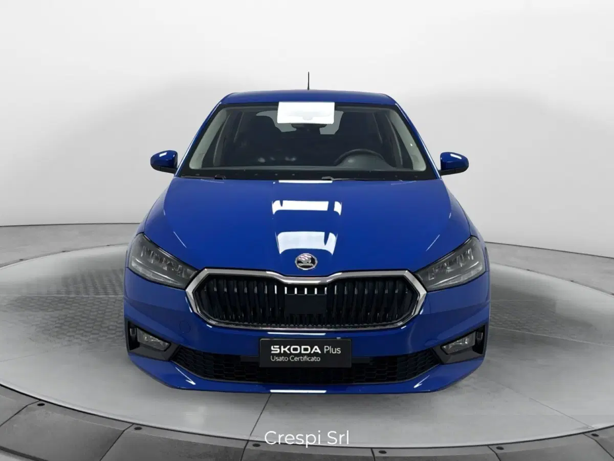 Skoda Fabia usata a Varese (2)
